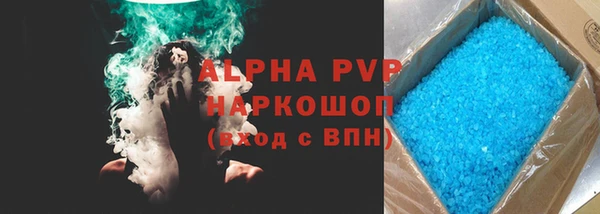 стаф Козловка