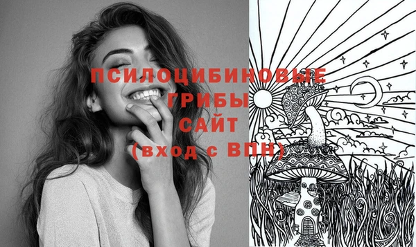 таблы Коряжма