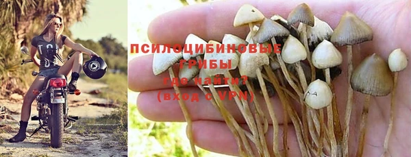 стафф Кукмор