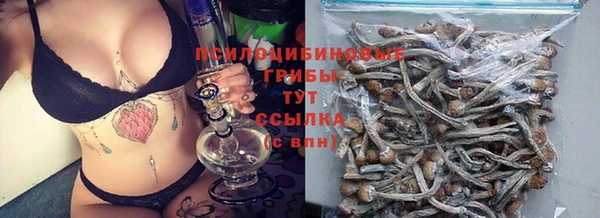 таблы Коряжма