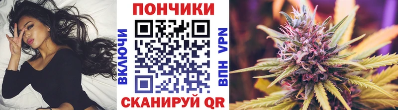 продажа наркотиков  мега ТОР  Бошки Шишки сатива  Кяхта 